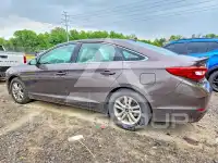 2017 Hyundai Sonata photo