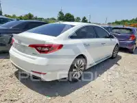 2017 Hyundai Sonata photo