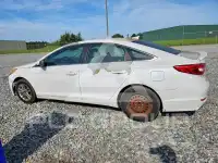 2017 Hyundai Sonata фото