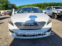 2017 Hyundai Sonata фото