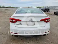 2017 Hyundai Sonata photo