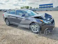 2017 Hyundai Sonata photo