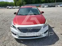2017 Hyundai Sonata photo
