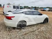 2018 Nissan MAXIMA фото