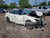 2018 Nissan MAXIMA photo