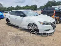 2018 Nissan MAXIMA фото