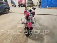 2018 Harley-Davidson FL фото