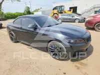2018 BMW M2 photo