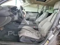 2018 Honda CIVIC фото