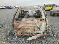 2018 Honda CR-V фото