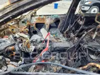 2018 Honda Accord photo