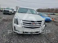 2018 Cadillac ESCALADE фото
