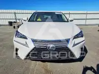 2018 Lexus NX фото