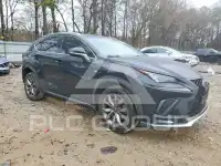 2018 Lexus NX фото