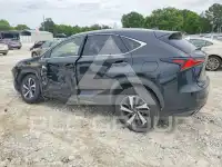 2018 Lexus NX фото