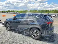 2018 Lexus NX фото