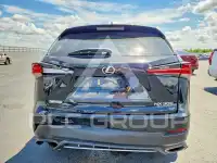 2018 Lexus NX фото