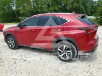 2018 Lexus NX фото