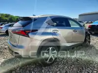 2018 Lexus NX фото