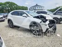 2018 Lexus NX фото