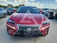 2018 Lexus NX фото