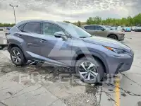 2018 Lexus NX фото