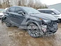 2018 Lexus NX фото