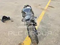 2018 Yamaha YZF1000 фото