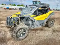 2018 Can-AM Sidebyside фото