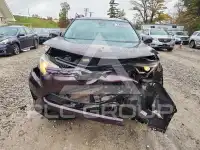 2018 Toyota RAV4 photo