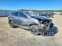 2018 Toyota RAV4 фото