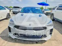 2018 KIA Stinger photo