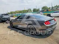 2018 Ford MUSTANG photo