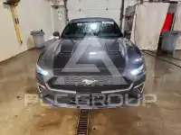 2018 Ford MUSTANG photo