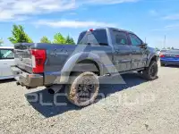 2018 Ford F-250 фото