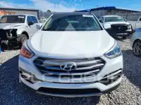 2018 Hyundai Santa Fe фото