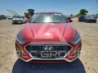 2018 Hyundai Sonata photo