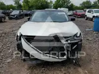 2019 Nissan MAXIMA photo