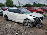 2019 Nissan MAXIMA photo