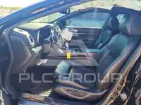 2019 Nissan MAXIMA photo