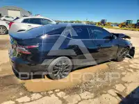2019 Nissan MAXIMA photo