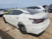 2019 Nissan MAXIMA photo