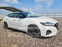 2019 Nissan MAXIMA фото