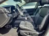2019 Nissan MAXIMA photo