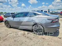 2019 Nissan MAXIMA photo