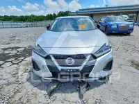 2019 Nissan MAXIMA photo