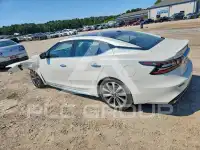 2019 Nissan MAXIMA photo