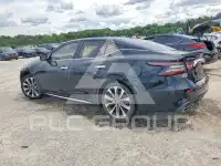2019 Nissan MAXIMA фото