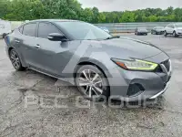2019 Nissan MAXIMA photo