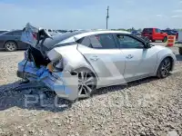 2019 Nissan MAXIMA photo